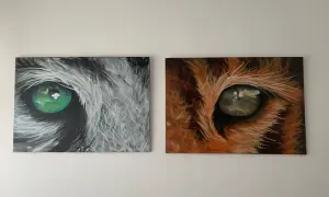 Due tele con occhi di animali: uno grigio con iride verde brillante, l'altro arancione con iride dorata. Idee murales semplici e d'impatto.