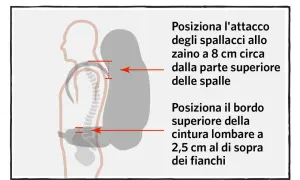 Guida per misurare il busto donna: posiziona gli spallacci dello zaino 8 cm sotto le spalle e la cintura lombare 2,5 cm sopra i fianchi.