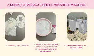 Come sbiancare mutande ingiallite: 3 passaggi per eliminare le macchie. Individua i capi, mettili in ammollo con percarbonato e acqua calda, poi lava e stendi al sole.