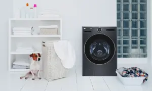 Un cane Jack Russell osserva una lavatrice moderna. Scopri come togliere i peli in lavatrice con consigli pratici.