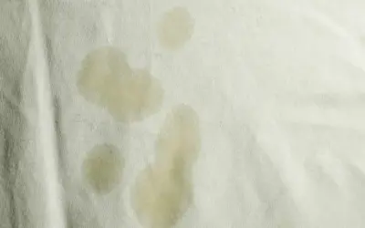 Macchie gialle sulla biancheria intima, forse dovute a sudore o a un lavaggio non perfetto.