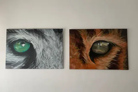 Due tele con occhi di animali: uno grigio con iride verde brillante, l'altro arancione con iride dorata. Idee murales semplici e d'impatto.