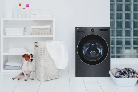 Un cane Jack Russell osserva una lavatrice moderna. Scopri come togliere i peli in lavatrice con consigli pratici.
