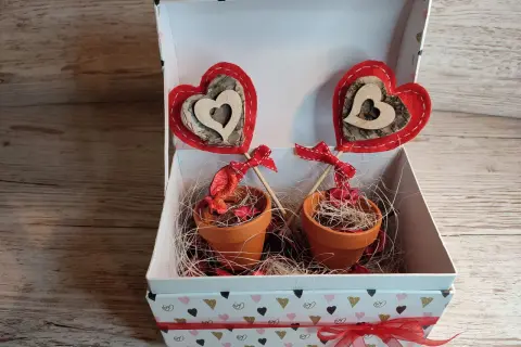 Scatola regalo con due vasetti di terracotta, decorati con cuori rossi e legno, perfetti per addobbi San Valentino fai da te.