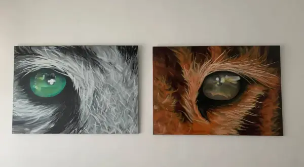 Due tele con occhi di animali: uno grigio con iride verde brillante, l'altro arancione con iride dorata. Idee murales semplici e d'impatto.