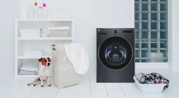 Un cane Jack Russell osserva una lavatrice moderna. Scopri come togliere i peli in lavatrice con consigli pratici.