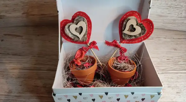 Scatola regalo con due vasetti di terracotta, decorati con cuori rossi e legno, perfetti per addobbi San Valentino fai da te.