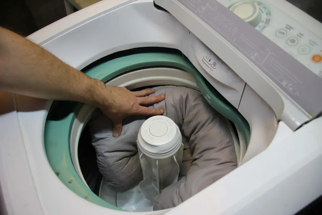 Mano che sistema la cuccia del cane nella lavatrice, pronta per essere lavata.