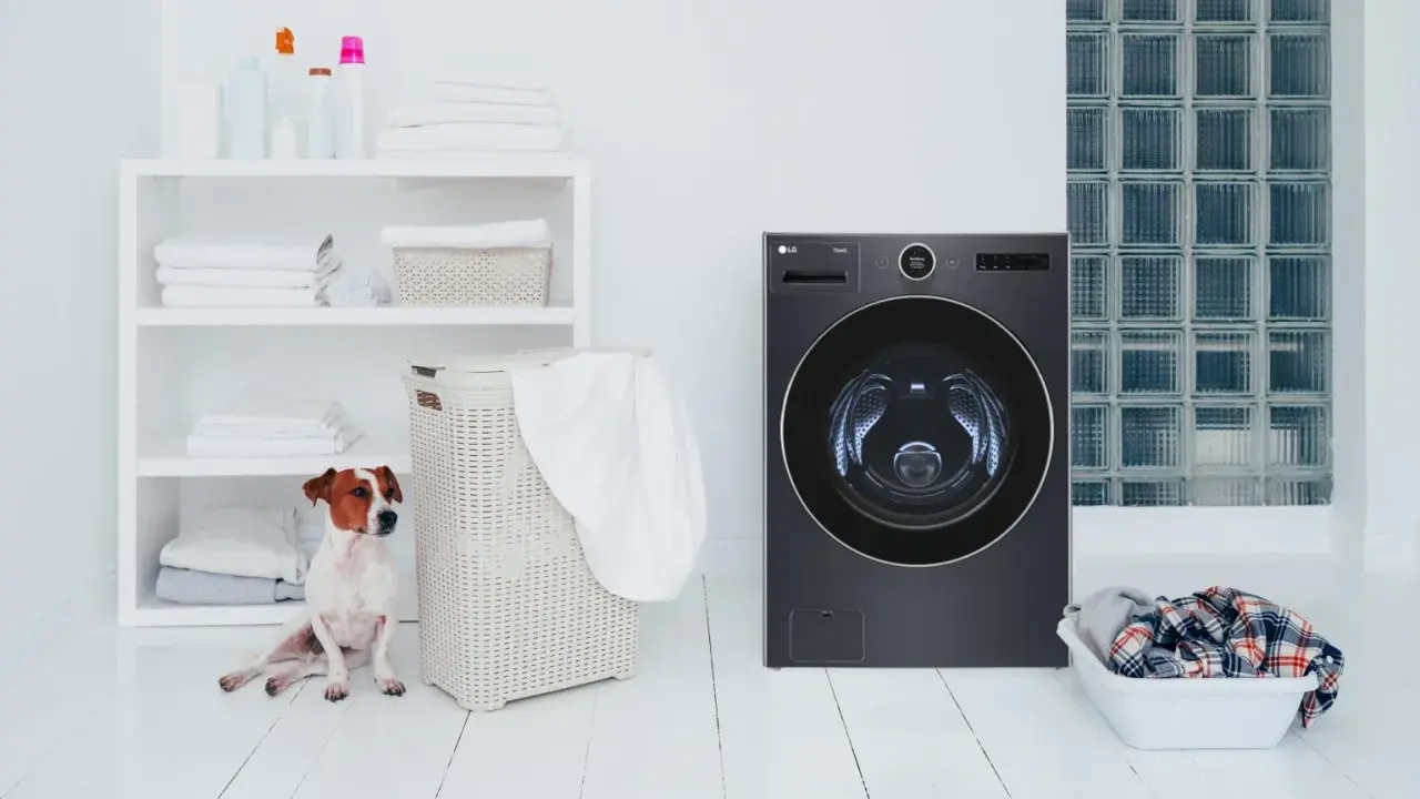 Un cane Jack Russell osserva una lavatrice moderna. Scopri come togliere i peli in lavatrice con consigli pratici.