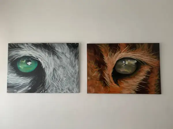 Due tele con occhi di animali: uno grigio con iride verde brillante, l'altro arancione con iride dorata. Idee murales semplici e d'impatto.